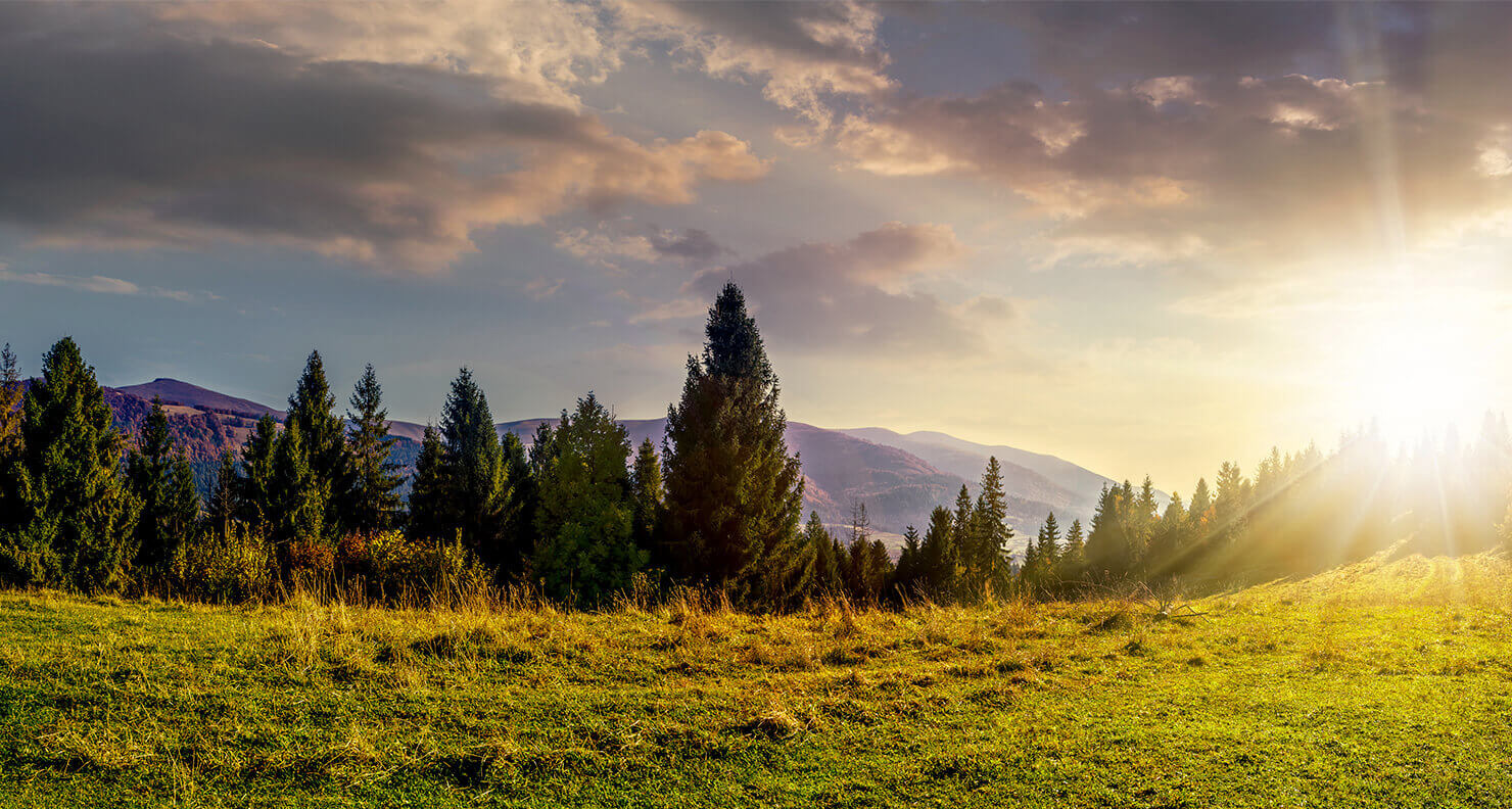 Background setting, motorhome in a valley with trees and grass